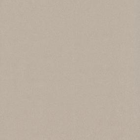 Textured Saxony Candle Wax Beige/Tan Carpet