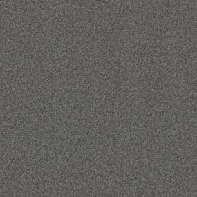 Textured Saxony Alliance Gray Carpet