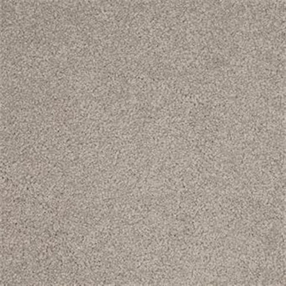 Textured Saxony Resort Beige/Tan Carpet