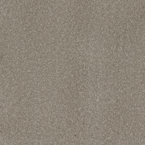 Textured Saxony Suburban Beige/Tan Carpet