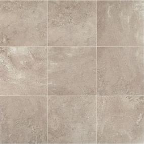 Tile Ashen Matte Beige/Tan Tile
