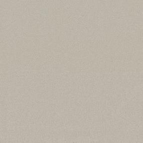 Textured Saxony Moving Forward Beige/Tan Carpet