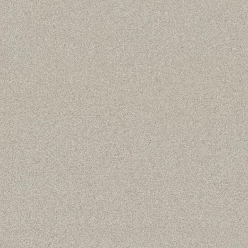 Textured Saxony Moving Forward Beige/Tan Carpet