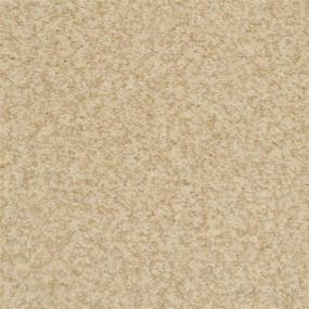 Casual Texture Birch Beige/Tan Carpet