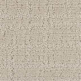 Pattern Plush Beige/Tan Carpet