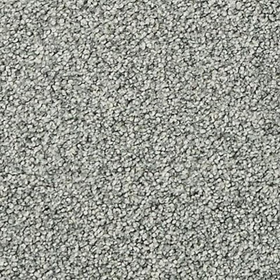 Textured Saxony Greenhorn Gray Carpet