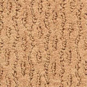 Pattern Tuscany Beige/Tan Carpet