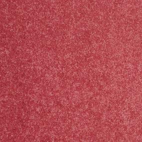 Textured Saxony Bubble Gum Pink Carpet