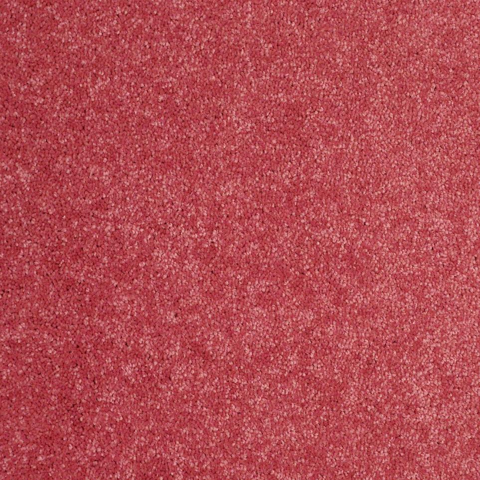 Textured Saxony Bubble Gum Pink Carpet