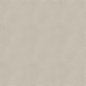 Plush Saxony Sandy Beach Beige/Tan Carpet