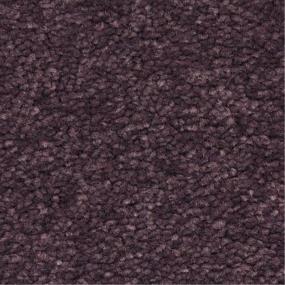 Casual Texture Morado Purple Carpet