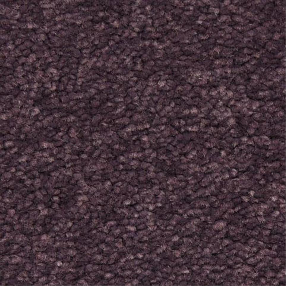 Casual Texture Morado Purple Carpet