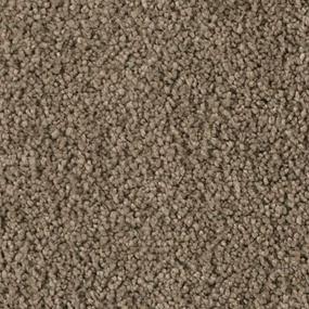 Textured Saxony Rustic Splendor Brown Carpet