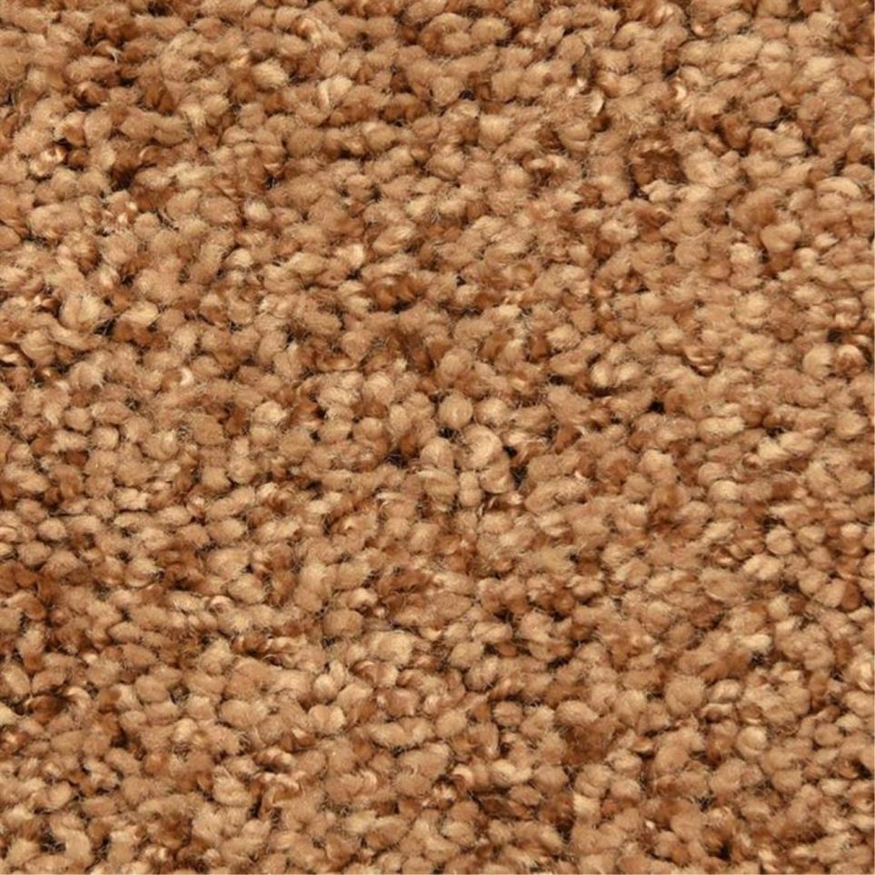Casual Texture Euphoric Valley Brown Carpet