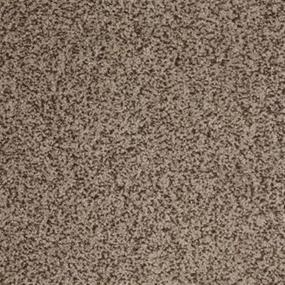 Textured Saxony Jazzy Brown Carpet