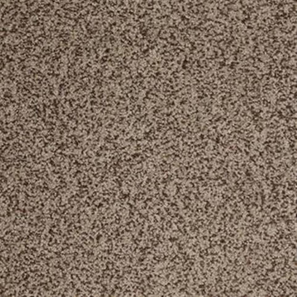Textured Saxony Jazzy Brown Carpet