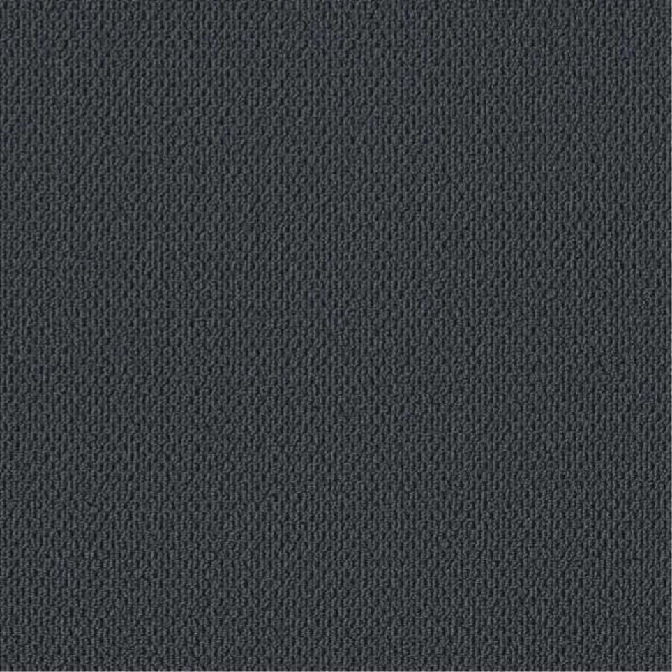 Berber Inlet Black Carpet
