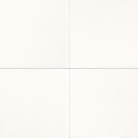 Tile Thassos White Polished White Tile