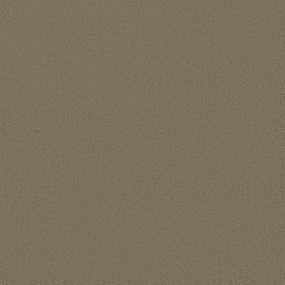 Texture Camelback Brown Carpet