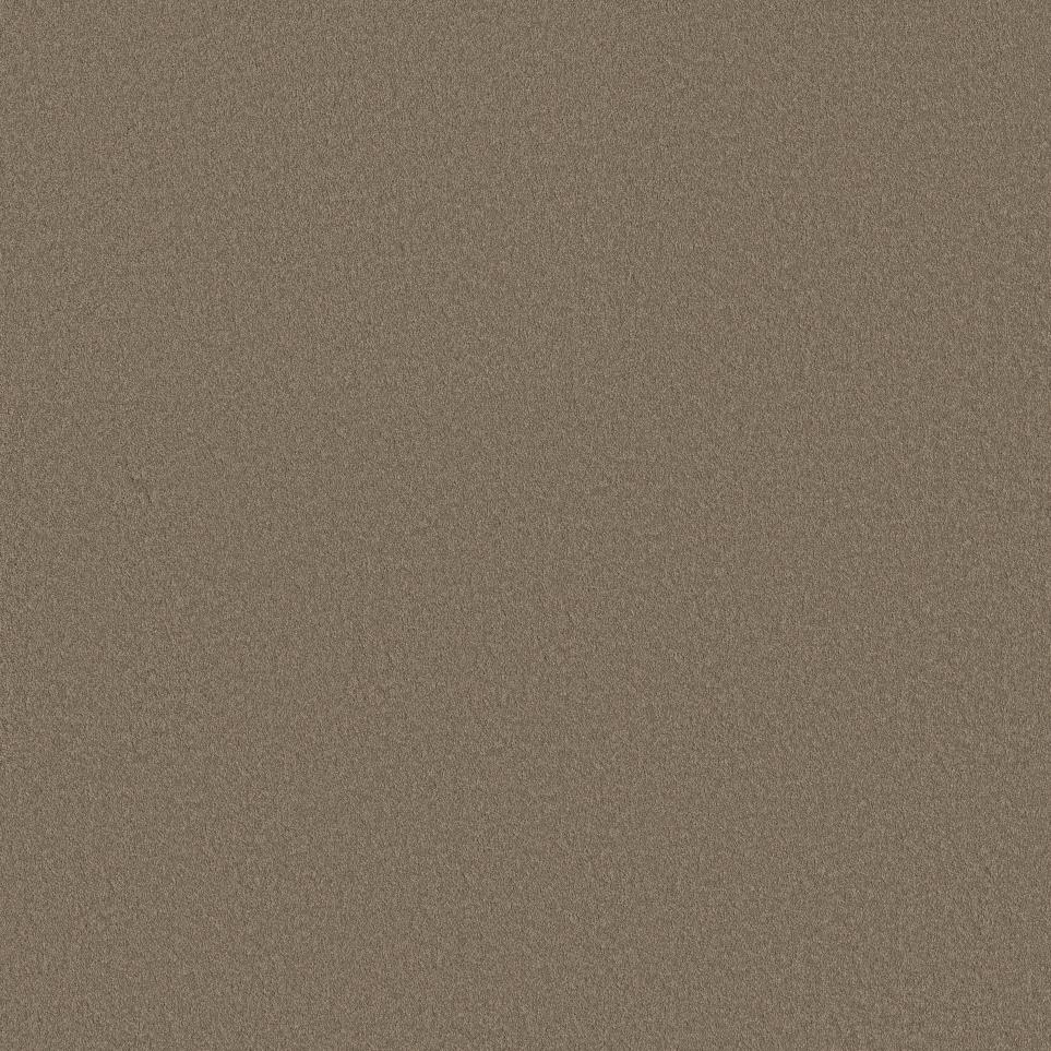 Texture Camelback Brown Carpet