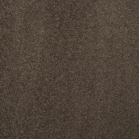 Casual Texture Volcanic Brown Carpet
