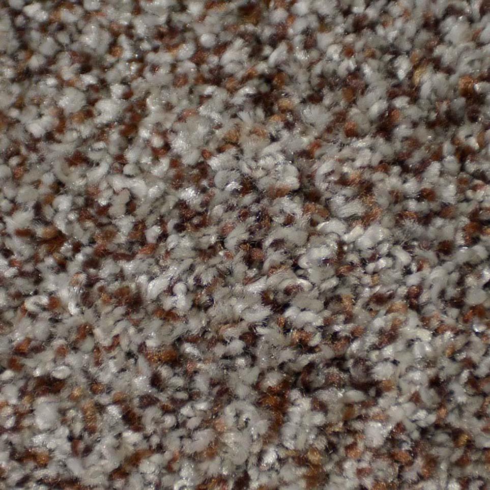 Frieze Basalt Brown Carpet