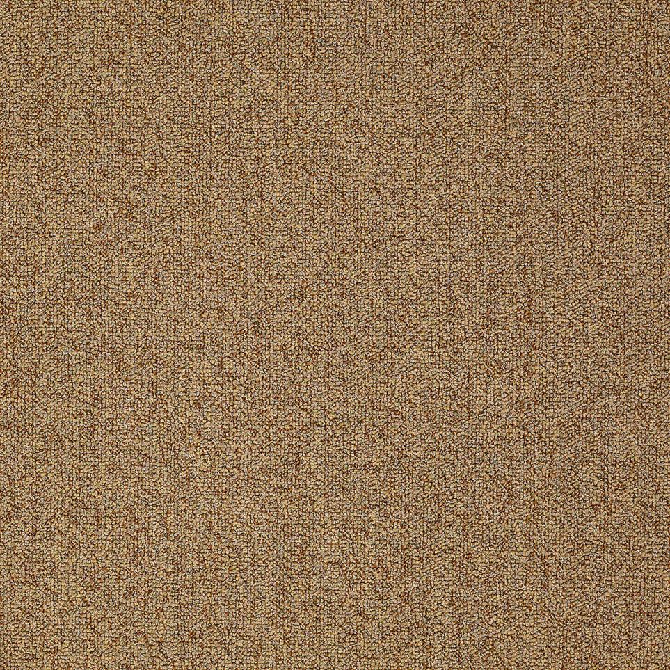 Multi-Level Loop Sunkissed Beige/Tan Carpet