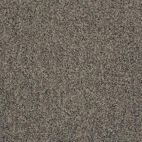 Loop Nature Trail Gray Carpet