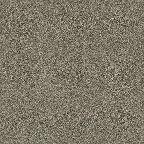 Textured Saxony Hope Chest Beige/Tan Carpet