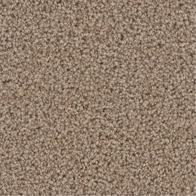 Textured Saxony Malibu Brown Carpet