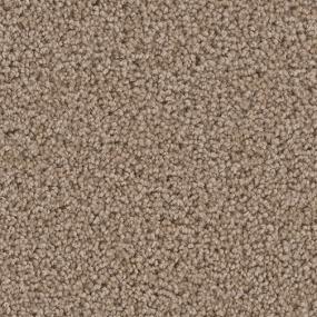 Texture Malibu Brown Carpet