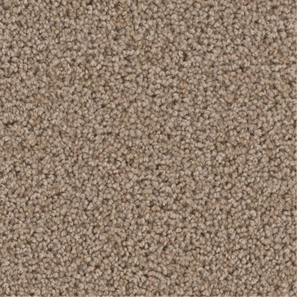 Textured Saxony Malibu Brown Carpet