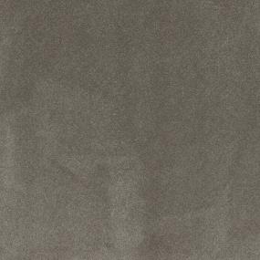 Textured Saxony New Tradition Brown Carpet