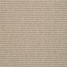 Pattern Rolling Stone Beige/Tan Carpet