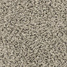 Pattern Bird Song Gray Carpet