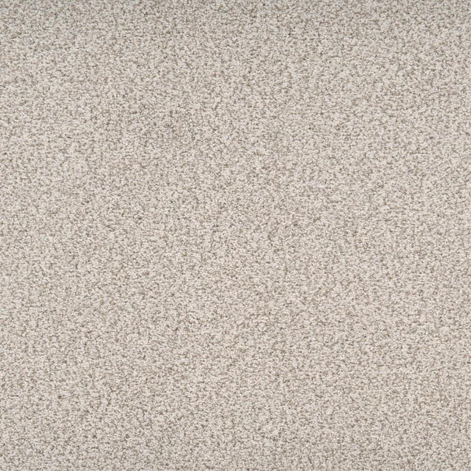 Textured Saxony Pleasant Beige/Tan Carpet