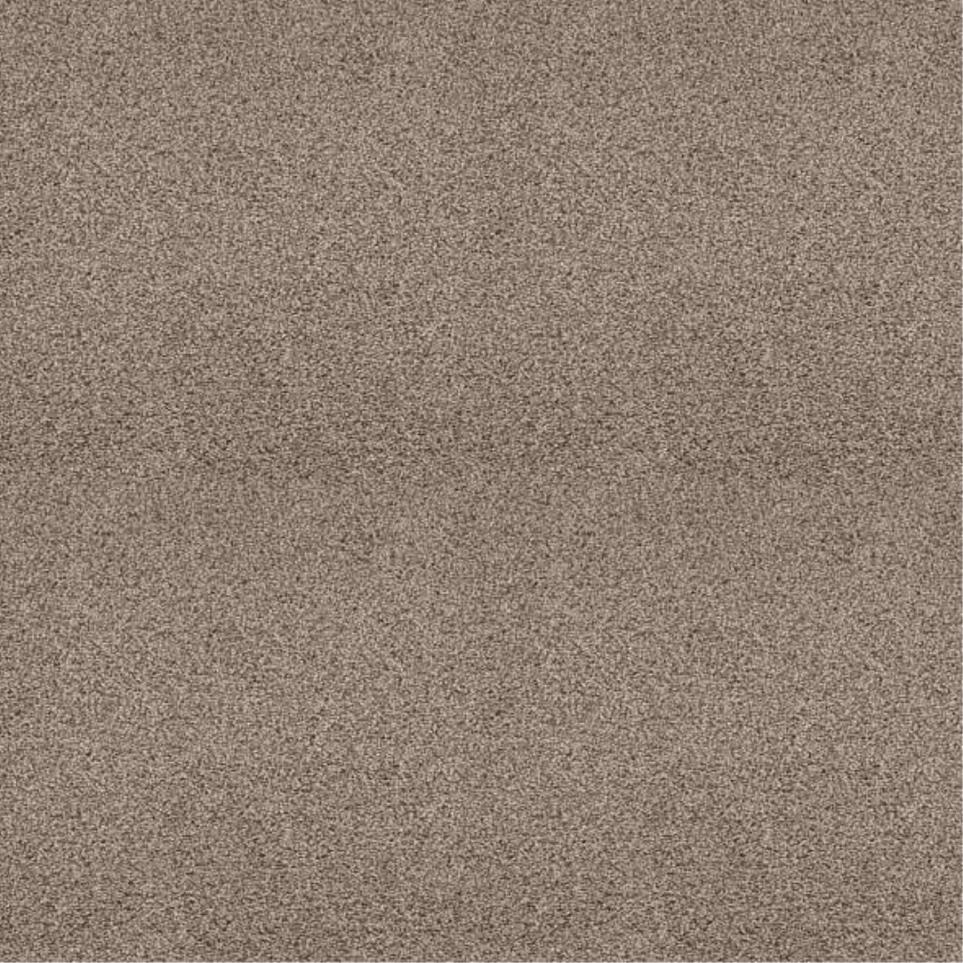 Textured Saxony Fine Lace Beige/Tan Carpet
