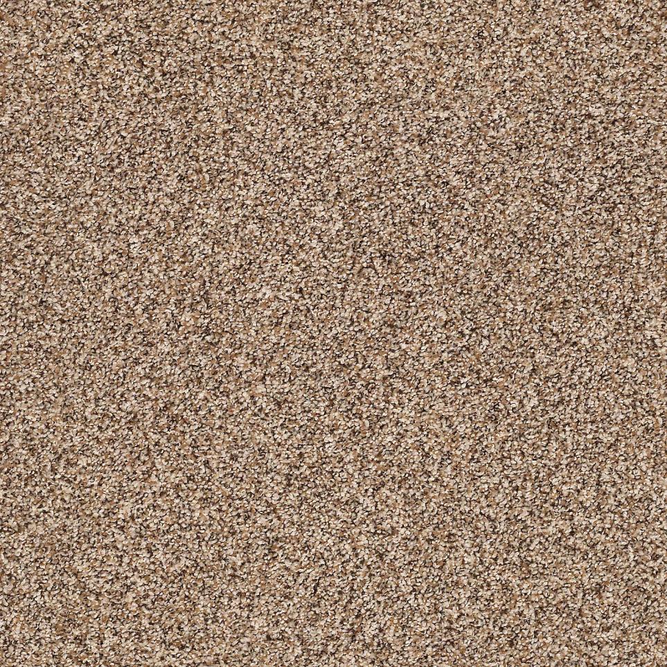 Texture Acorn Brown Carpet