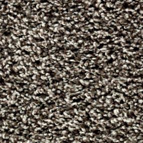 Textured Saxony Griffin Brown Carpet