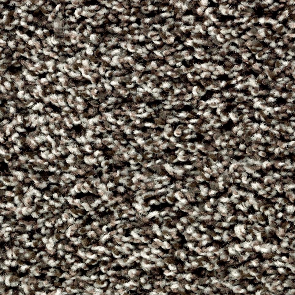 Textured Saxony Griffin Brown Carpet
