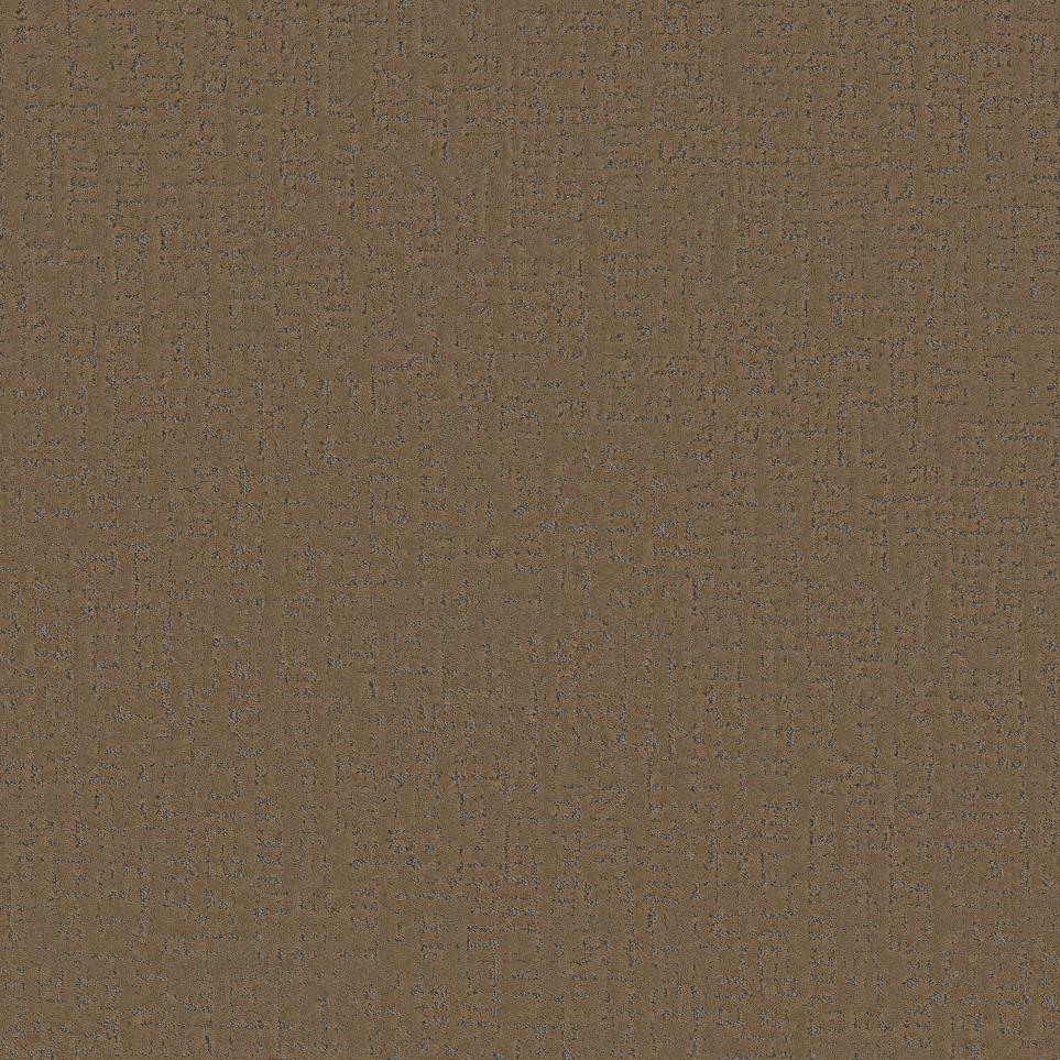 Pattern Grounded Brown Carpet