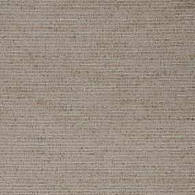 Pattern Intensity Brown Carpet