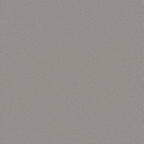 Textured Saxony Elegance Beige/Tan Carpet