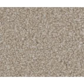 Textured Saxony Bliss Beige/Tan Carpet
