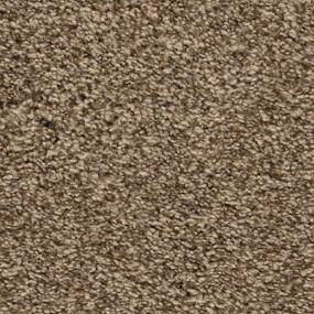 Textured Saxony After Glow Beige/Tan Carpet