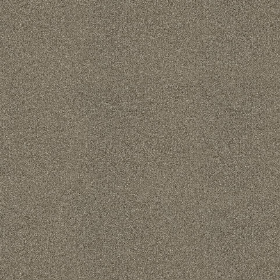 Texture Magnitude Beige/Tan Carpet