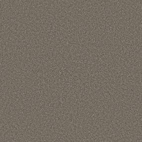 Textured Saxony Prairie Beige/Tan Carpet