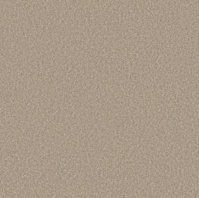 Textured Saxony Prairie Beige/Tan Carpet