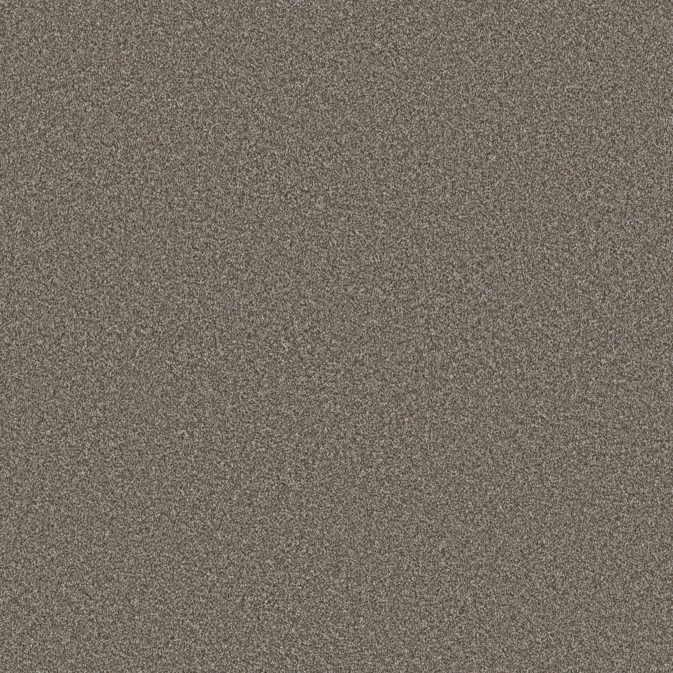 Texture Prairie Beige/Tan Carpet