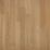 Cinnabark Hickory